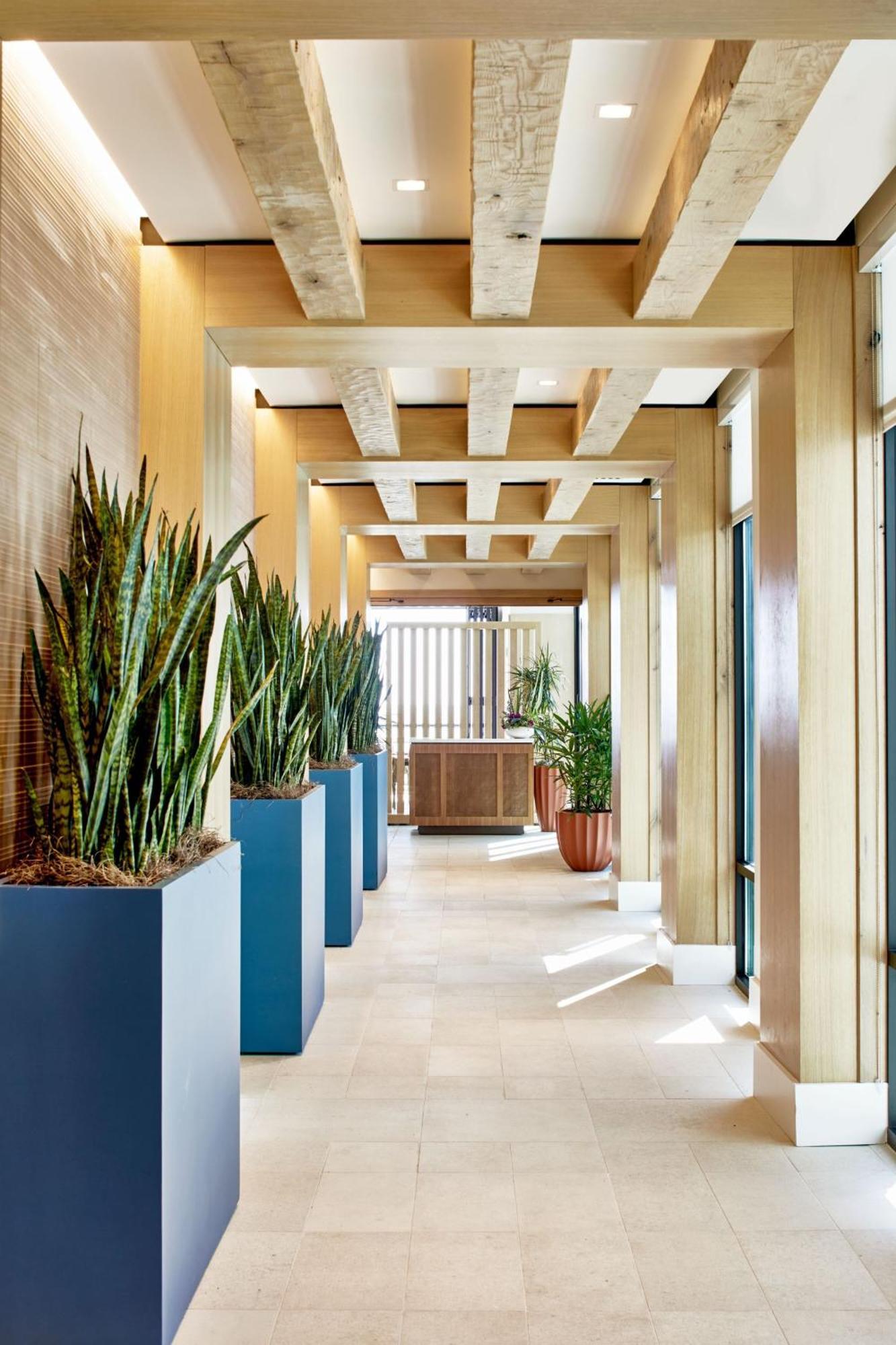 Springhill Suites By Marriott Jacksonville Beach Oceanfront Buitenkant foto