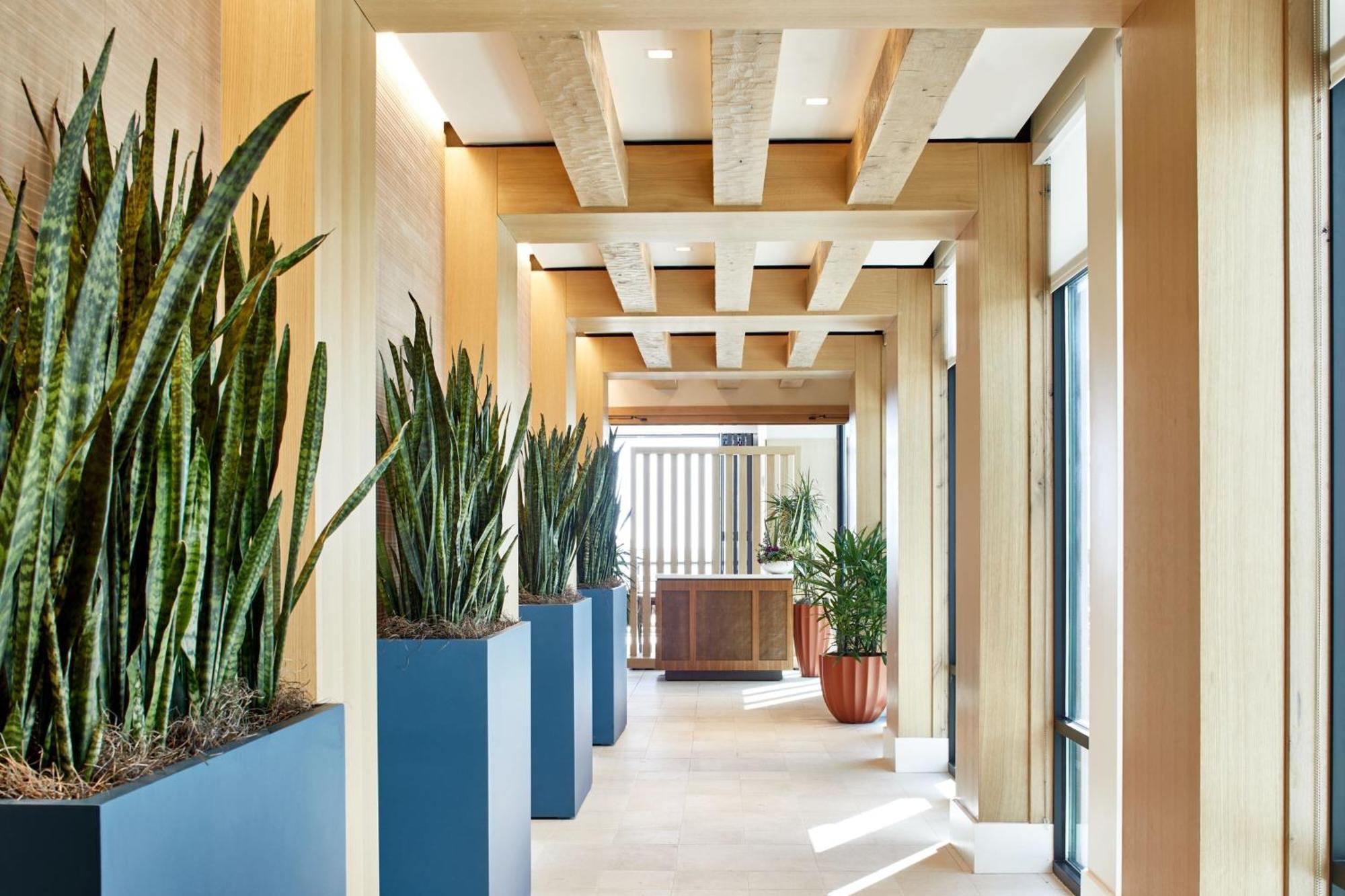 Springhill Suites By Marriott Jacksonville Beach Oceanfront Buitenkant foto